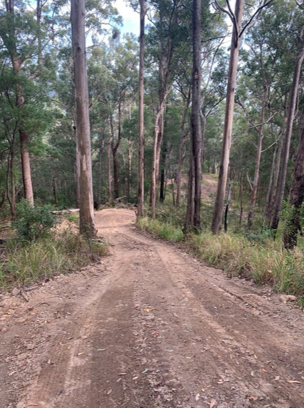 Good condition dirt road as fire trail