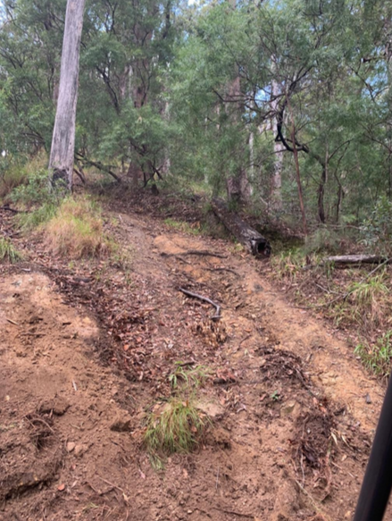 damaged road through bush